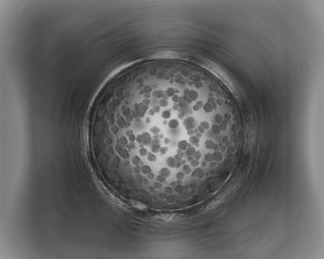 X0000110321000200905281629