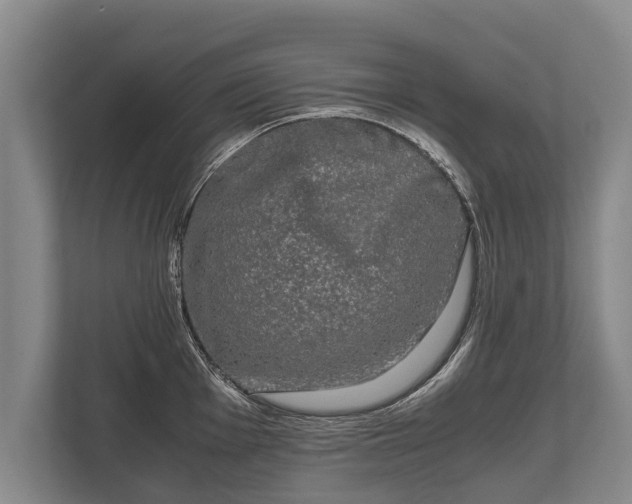 X0000110321001200905281629