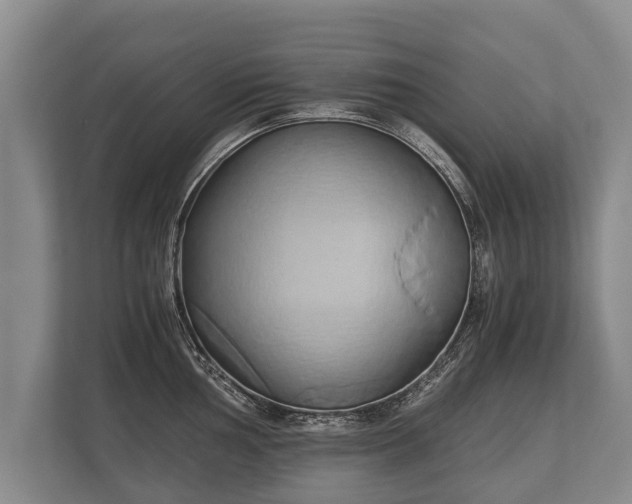 X0000110321002200905281629