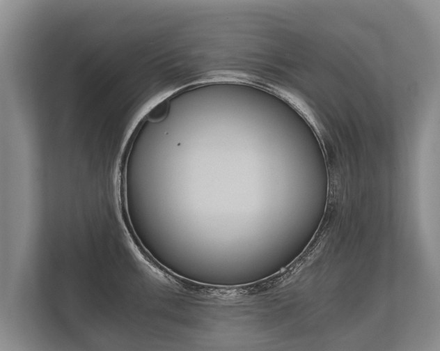 X0000110321003200905281629