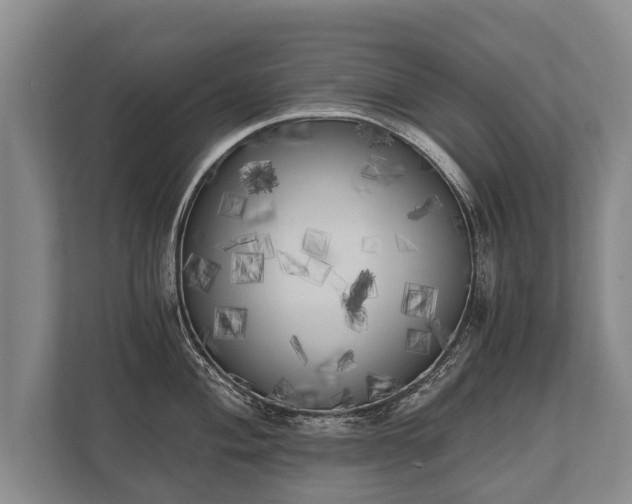X0000110321004200905281629