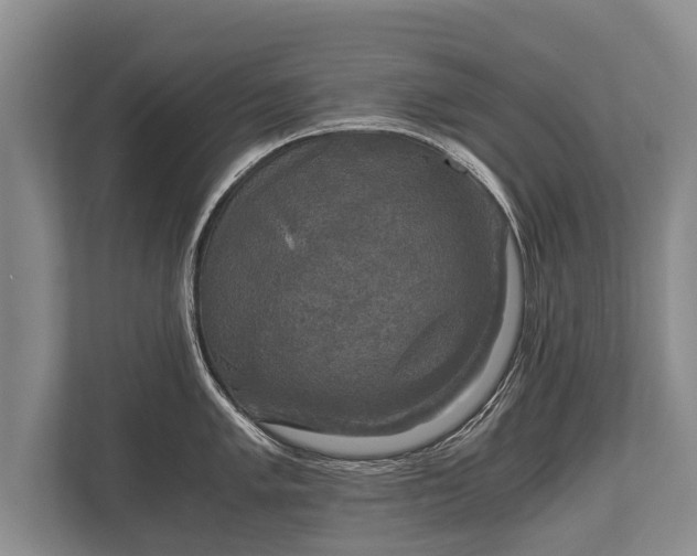 X0000110321005200905281629