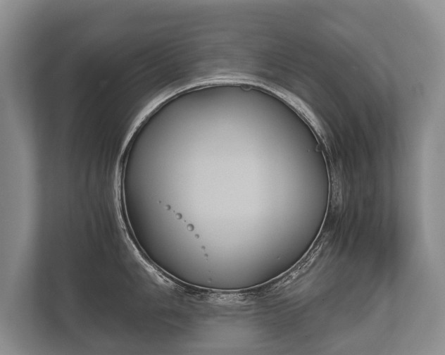 X0000110321006200905281629