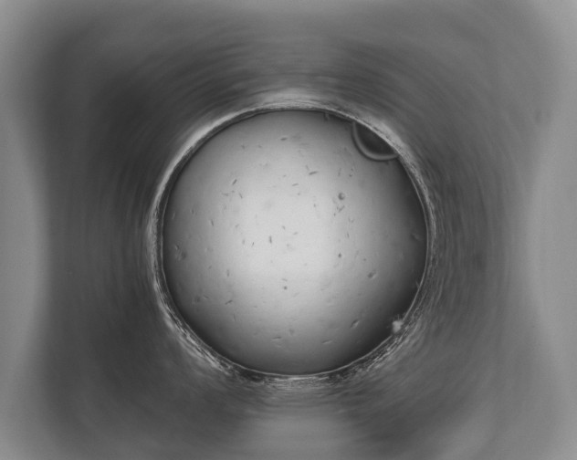 X0000110321008200905281629