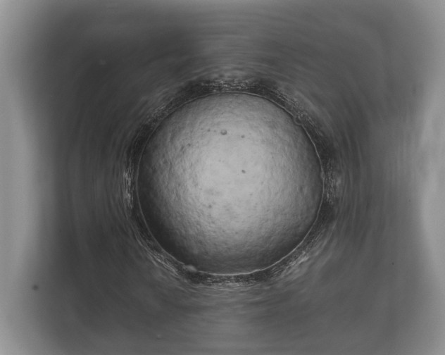 X0000110321010200905281628