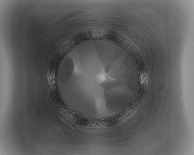 X0000110321011200905281628