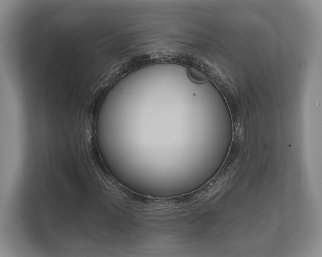 X0000110321012200905281628