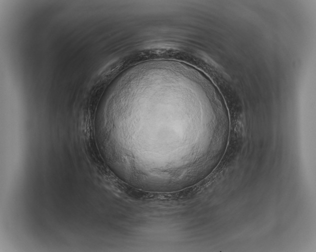 X0000110321014200905281628