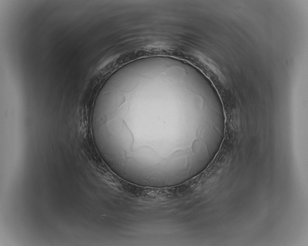 X0000110321015200905281628