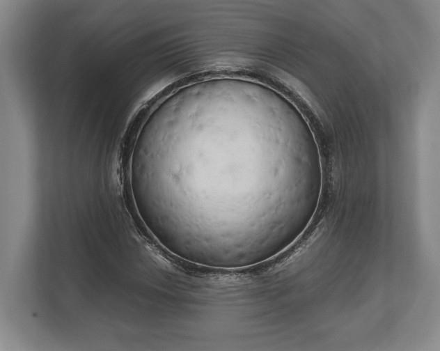 X0000110321018200905281628