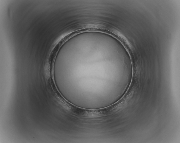 X0000110321019200905281628