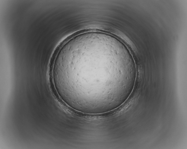 X0000110321020200905281628