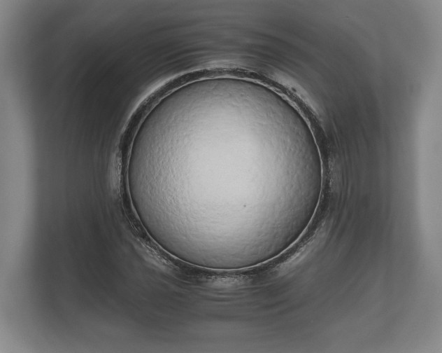 X0000110321021200905281628