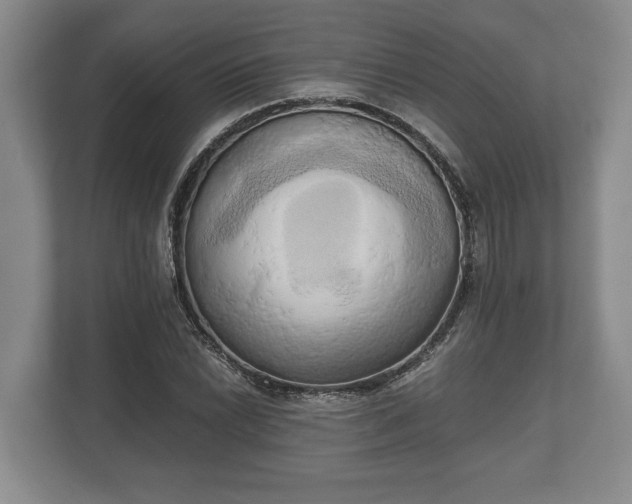 X0000110321022200905281628