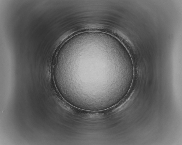 X0000110321025200905281628