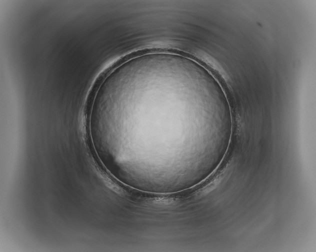 X0000110321029200905281628