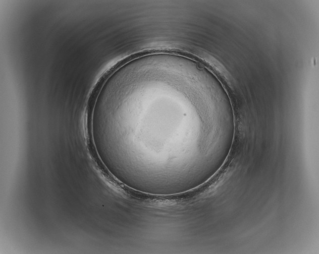 X0000110321030200905281628