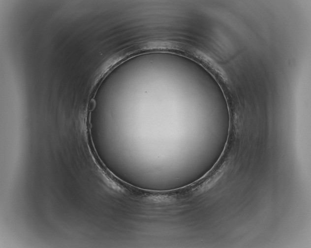 X0000110321033200905281628