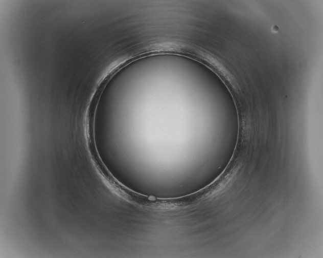 X0000110321034200905281628