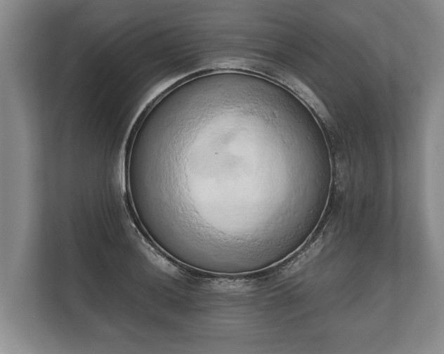 X0000110321036200905281628