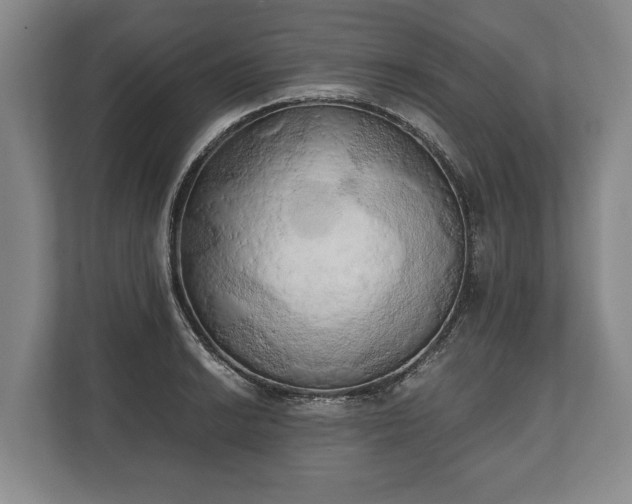 X0000110321038200905281628