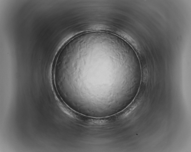 X0000110321039200905281628