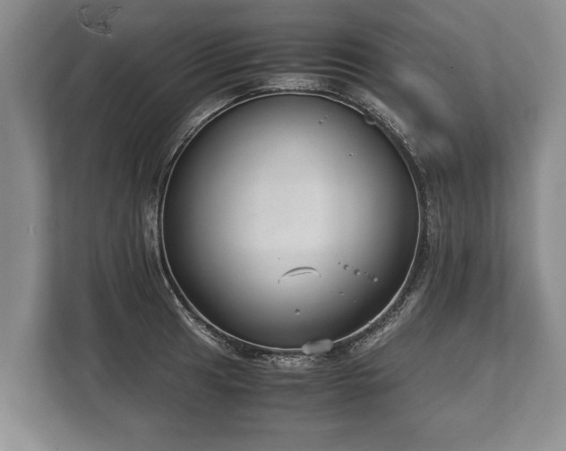 X0000110321041200905281628