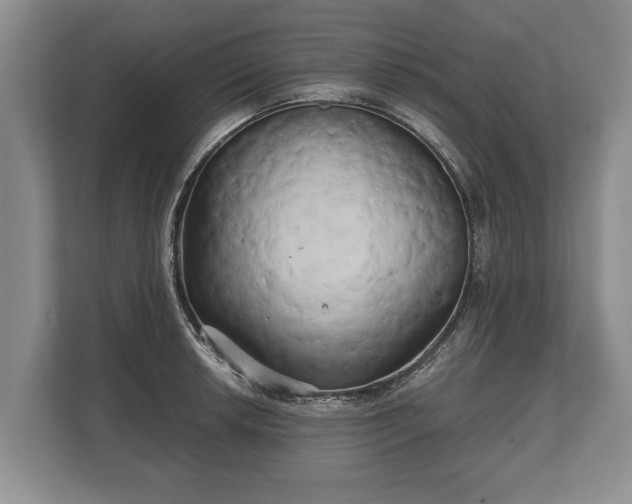 X0000110321042200905281628