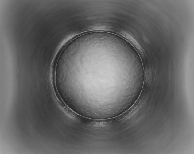 X0000110321043200905281628