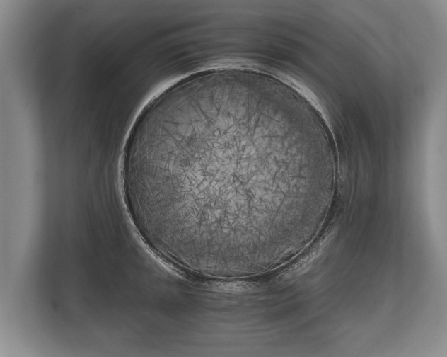 X0000110321045200905281628