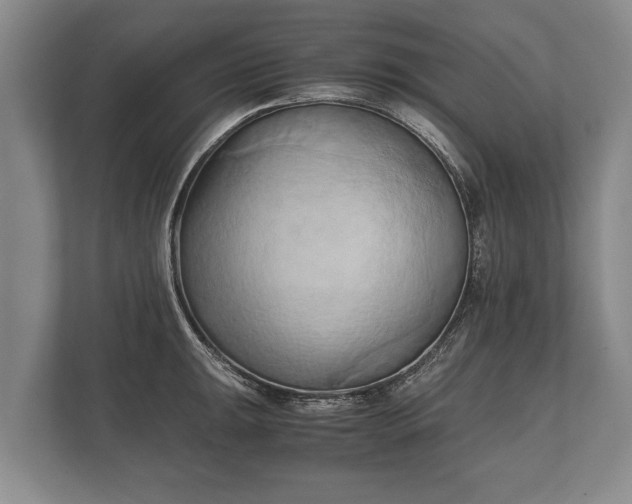 X0000110321047200905281629