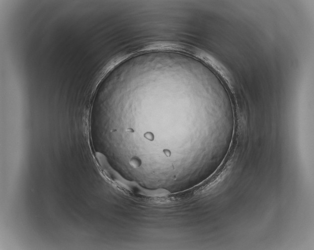 X0000110321049200905281629