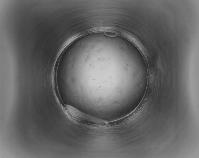 X0000110321050200905281629