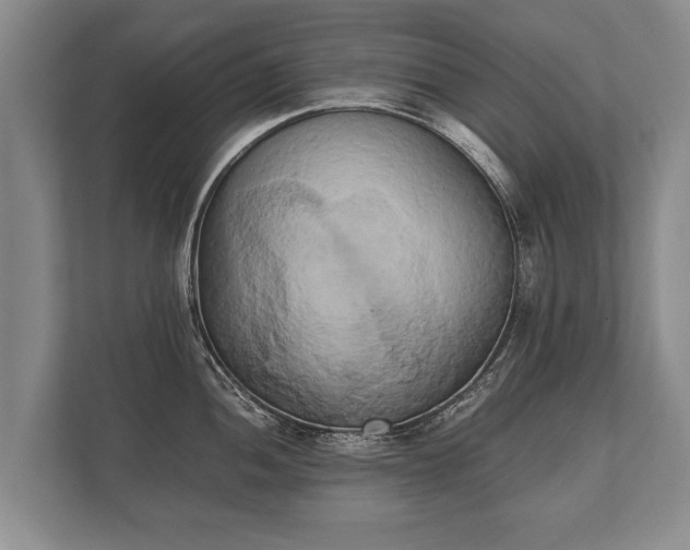 X0000110321052200905281629