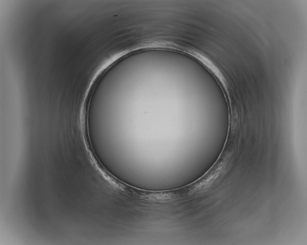 X0000110321053200905281629