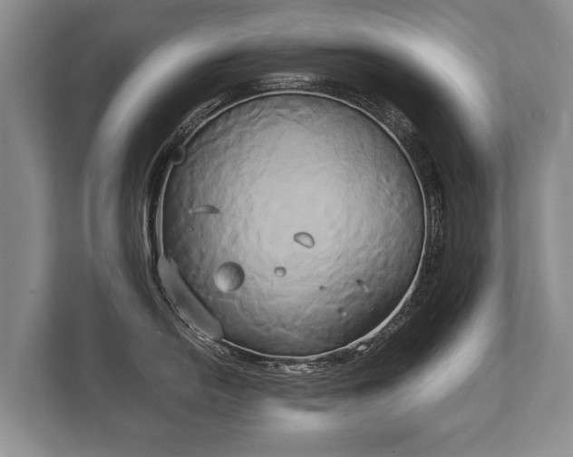 X0000110321054200905281629