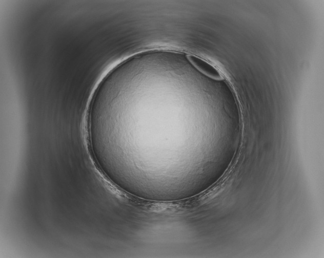 X0000110321056200905281629