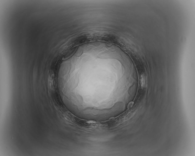 X0000110321059200905281628