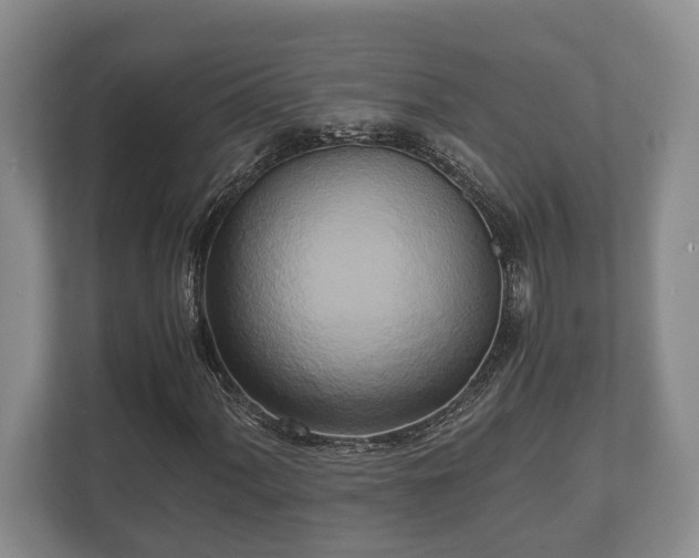 X0000110321060200905281628