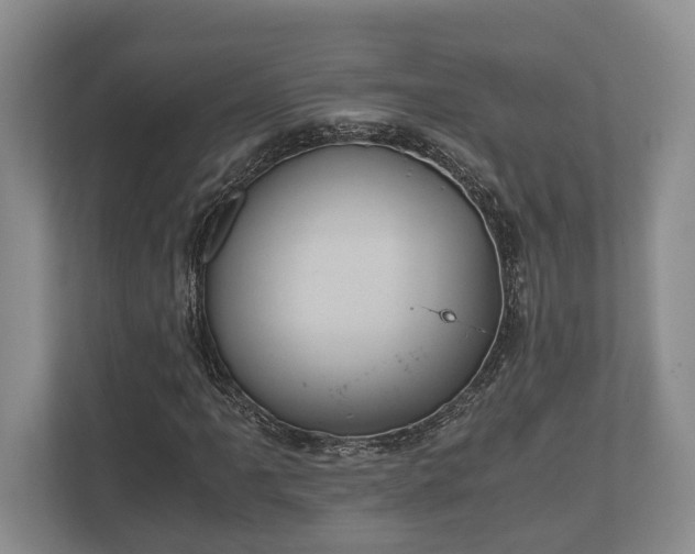 X0000110321061200905281628