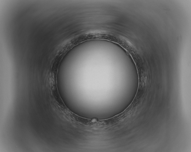 X0000110321062200905281628