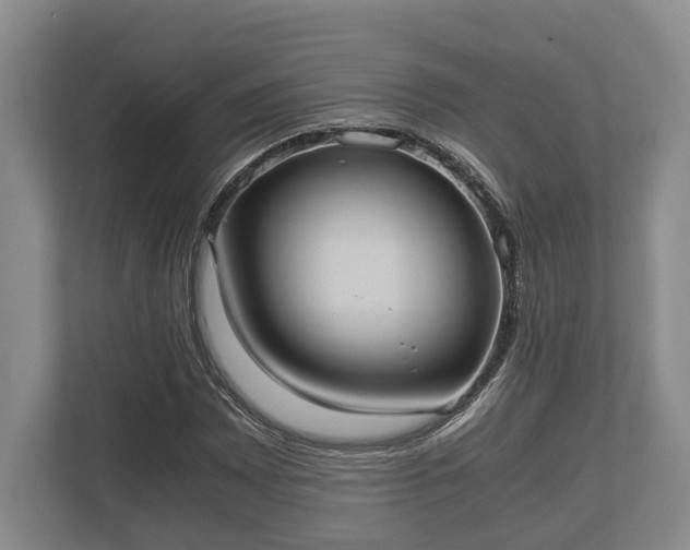 X0000110321065200905281628