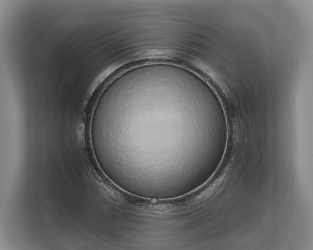 X0000110321066200905281628