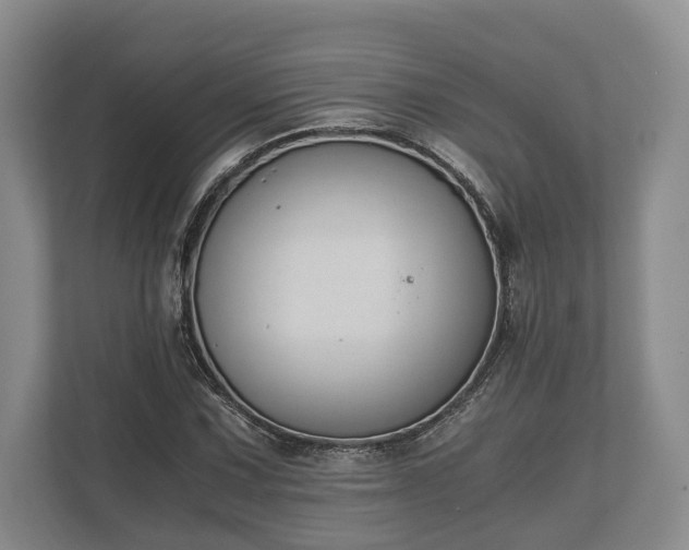 X0000110321067200905281628