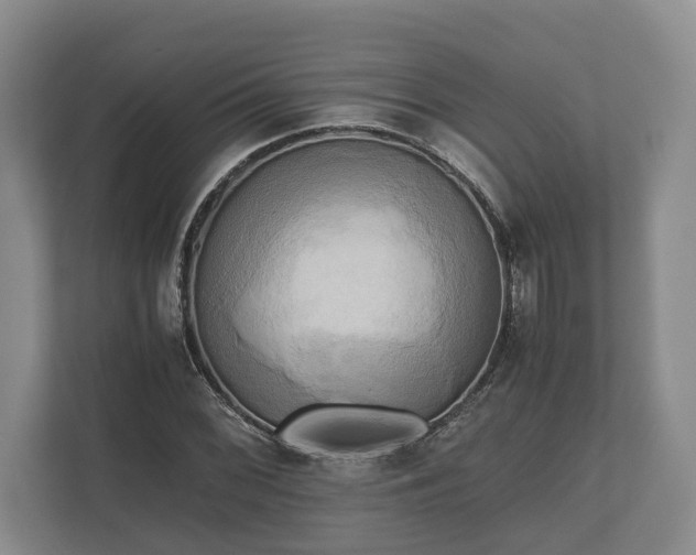 X0000110321068200905281628