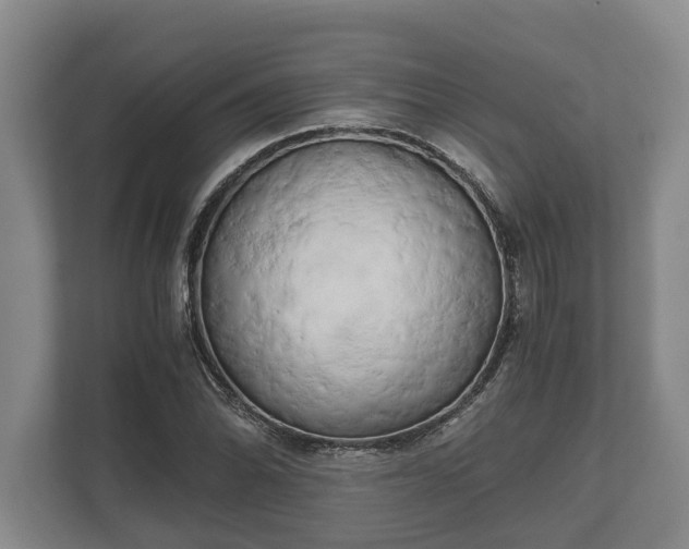 X0000110321070200905281628