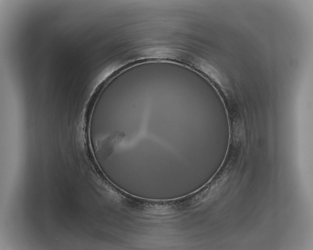 X0000110321071200905281628