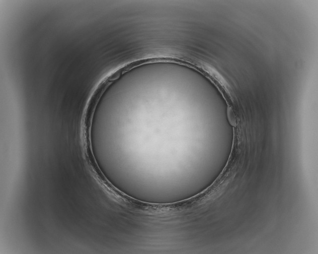 X0000110321072200905281628