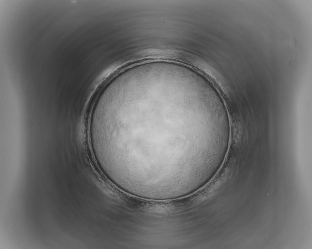 X0000110321074200905281628