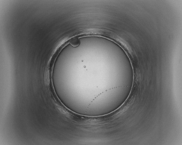 X0000110321075200905281628